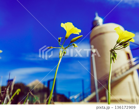 Carbonera lighthouse, Punta Mala, La Alcaidesa, Spain. Carbonera lighthouse, Punta Mala, La Alcaidesa, Spain. 136172909
