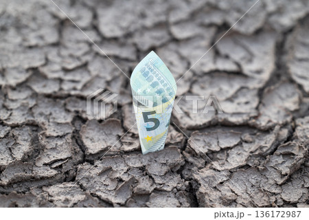 5 euro banknote on dry cracked surface. Financial problems in Europe, symbol of euro bill grow out dry soil strong regardless of financial crisis 5 euro banknote on dry cracked surface. Financial problems in Europe, symbol of euro bill grow out dry soil strong regardless of financial crisis 136172987