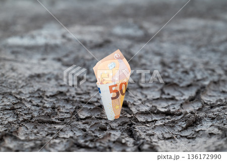 Concept of 50 euro banknote growing out dry lifeless surface. Financial problems in Europe, symbol of strong euro economy, firm financial system Concept of 50 euro banknote growing out dry lifeless surface. Financial problems in Europe, symbol of strong euro economy, firm financial system 136172990