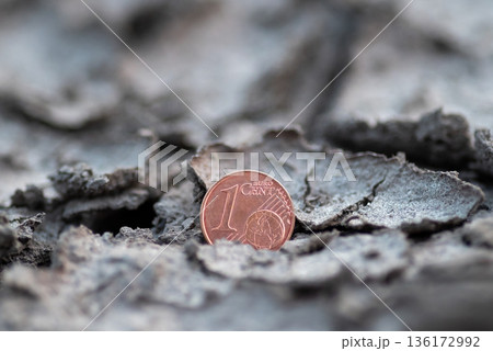 One euro cent on cracked surface macro shot. Concept of economic crisis in Europe, financial problems, decrease in euro value One euro cent on cracked surface macro shot. Concept of economic crisis in Europe, financial problems, decrease in euro value 136172992