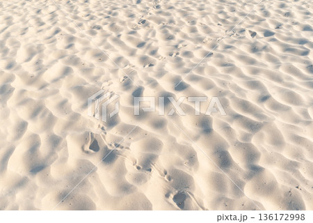 Footprints of some bird on sandy beach. Traces of bird walking on dry beach sand 136172998