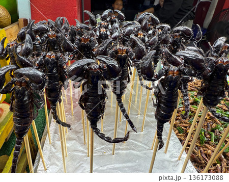 Fried scorpions on skewers Asian street food market Fried scorpions on skewers Asian street food market 136173088
