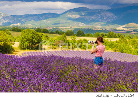 Woman take photo on lavender field, Provence France 136173154