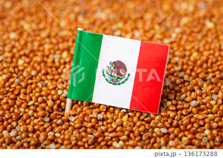 Flag of Mexico on millet grain. Concept of origin of millet grain, agribusiness in Mexico Flag of Mexico on millet grain. Concept of origin of millet grain, agribusiness in Mexico 136173288