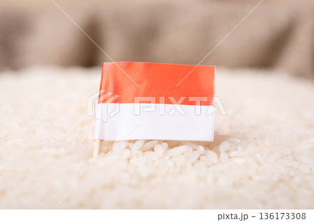 Flag of Indonesia on grain of rice. Concept of growing rice in Indonesia Flag of Indonesia on grain of rice. Concept of growing rice in Indonesia 136173308