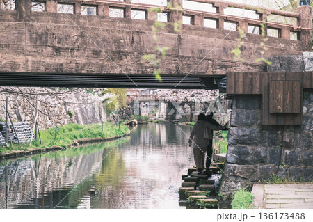 [八幡堀]美しい桜が咲き誇る風景 / 時代劇のロケ地にも度々使用されている古風な町並み 136173488