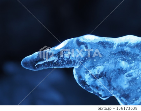 左を差す、氷の指（20260128090143） 136173639