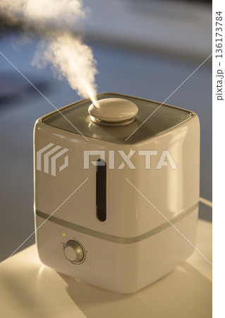 Close up of aroma oil diffuser on table at home, steam from air humidifier Close up of aroma oil diffuser on table at home, steam from air humidifier 136173784