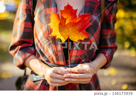 Woman holding red maple leaf in her hands in sunny autumn day, closeup Woman holding red maple leaf in her hands in sunny autumn day, closeup 136173939