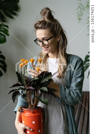 Woman florist holding flowering calathea plant in old red milk can standing in home garden 136174051
