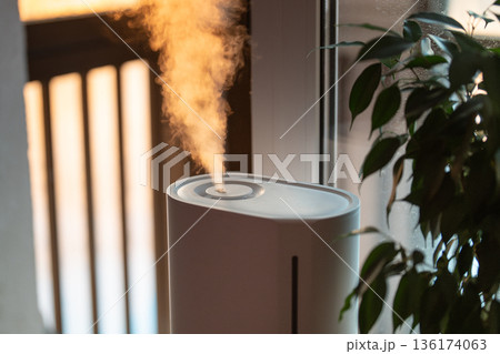 Closeup of humidifier on windowsill among potted houseplant spraying water vapor steam 136174063