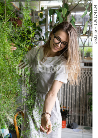 Joyful young woman gardener touching lush asparagus fern houseplant. Love of plants 136174134
