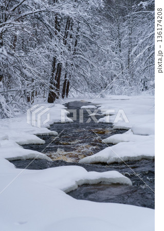 Non-freezing running river in snowy forest on gloomy cold winter day Non-freezing running river in snowy forest on gloomy cold winter day 136174208