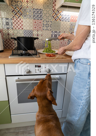 Woman puts the fettuccine pesto paste from saucepan on a plate, dog begging nearby Woman puts the fettuccine pesto paste from saucepan on a plate, dog begging nearby 136174329