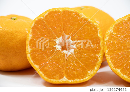 ほたるの里 みかん ほたるの里 みかん 136174421