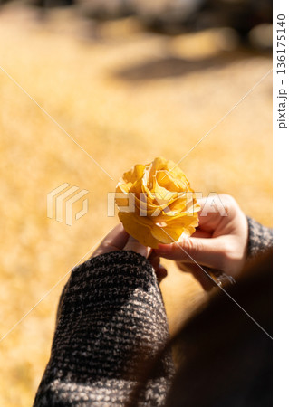 イチョウの葉で作ったバラ 136175140