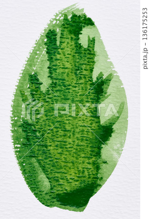 An oval brushstroke of green watercolor paint with a rich center and translucent edges 136175253
