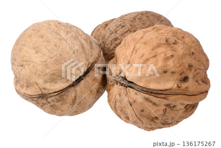 Whole walnut in its shell with pronounced texture and grooves on an isolated background. 136175267