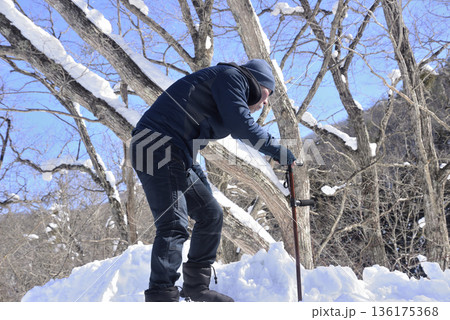 雪道で杖を使ってリハビリをしている老人 136175368