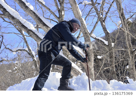 雪道で杖を使ってリハビリをしている老人 136175369