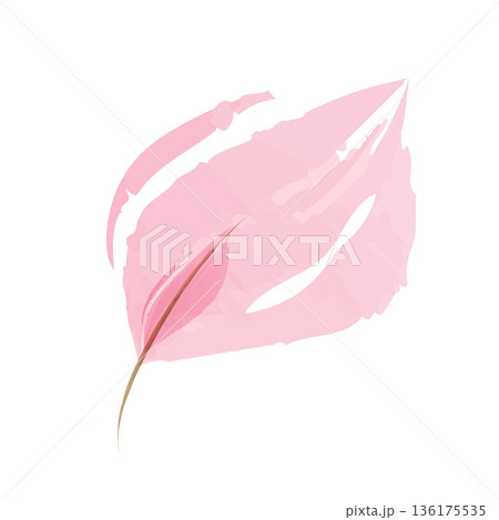 A delicate single pink watercolor leaf floats gracefully on a clean white background. Its soft hues blend smoothly, creating a tranquil botanical illustration. The leaf shows subtle vein details. A delicate single pink watercolor leaf floats gracefully on a clean white background. Its soft hues blend smoothly, creating a tranquil botanical illustration. The leaf shows subtle vein details. 136175535