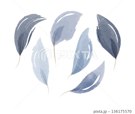 A group of elegant leaves are painted with soft watercolors. They feature varying shades of blue and grey, from light sky blue to deep slate. A group of elegant leaves are painted with soft watercolors. They feature varying shades of blue and grey, from light sky blue to deep slate. 136175570