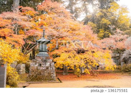 観福寺の秋景色 観福寺の秋景色 136175581