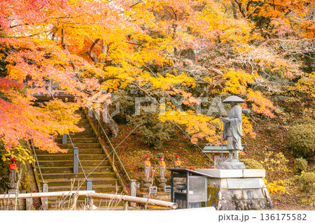 観福寺の弘法大師像と紅葉に包まれた石段の秋景色 観福寺の弘法大師像と紅葉に包まれた石段の秋景色 136175582