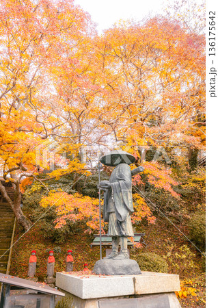 観福寺の弘法大師像と紅葉の秋景色 136175642