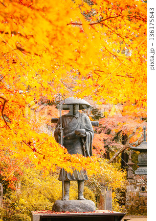 観福寺の弘法大師像と紅葉の秋景色 136175643