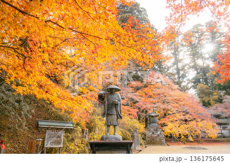 観福寺の弘法大師像と紅葉の秋景色 136175645