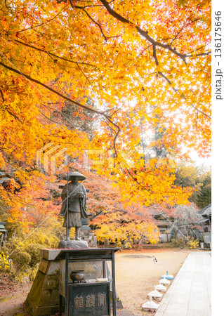 観福寺の弘法大師像と紅葉の秋景色 136175646