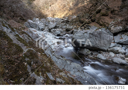 冬の秩父・荒川源流、凍てつく渓谷を流れる清流と巨岩の風景 136175731