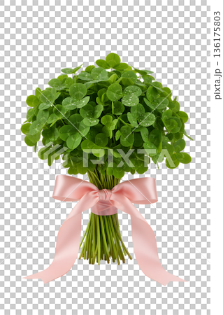 Fresh, hand-tied bouquet of green clovers and shamrocks with a delicate pink ribbon, symbolizing luck, nature, and simple, thoughtful gifts 136175803
