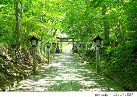 那須温泉神社 新緑に包まれた境内(春、五月) 那須温泉神社 新緑に包まれた境内(春、五月) 136175824