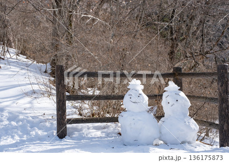 冬山の歩道の雪だるま 136175873