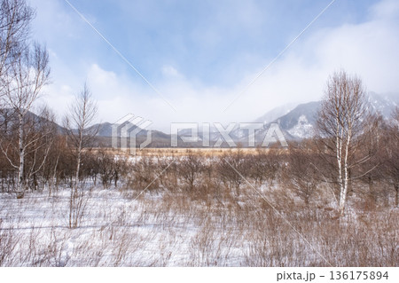 真冬の日光戦場ヶ原の風景 真冬の日光戦場ヶ原の風景 136175894