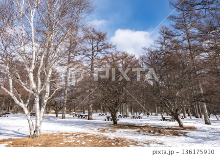 真冬の日光三本松園地の風景 136175910