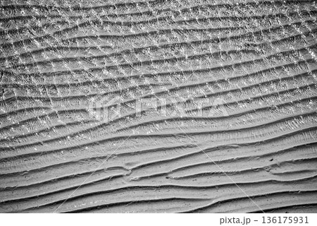 Black-and-white rippled sand texture Black-and-white rippled sand texture 136175931