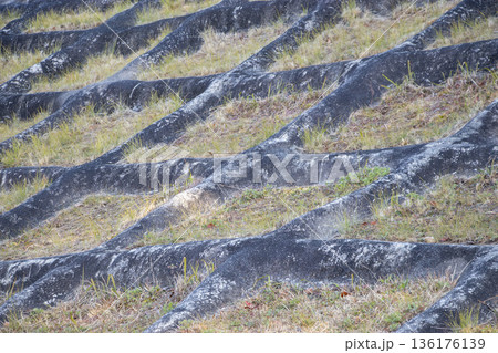 山腹工 山腹工 136176139