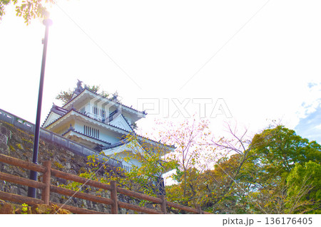 [愛知県]豊橋市今橋町の吉田城鉄櫓 136176405