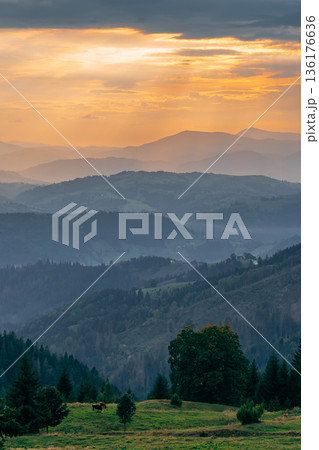 Mountain Landscape at Sunset with Pasture and Forested Hills 136176636