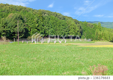 [愛知県]新城市長篠·設楽原の戦い馬防柵 136176683