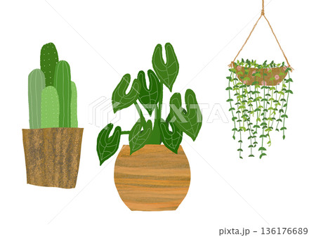 サボテンと観葉植物の鉢植えセット 北欧ナチュラル｜サボテン, 観葉植物, 鉢植え, ハンギングプラン 136176689