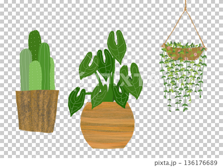 サボテンと観葉植物の鉢植えセット 北欧ナチュラル｜サボテン, 観葉植物, 鉢植え, ハンギングプラン 136176689