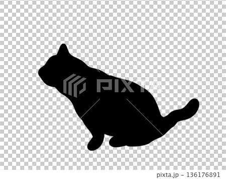 座ってジッとする猫のシルエット 136176891