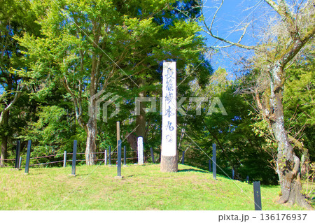 [愛知県]新城市の長篠城跡 136176937