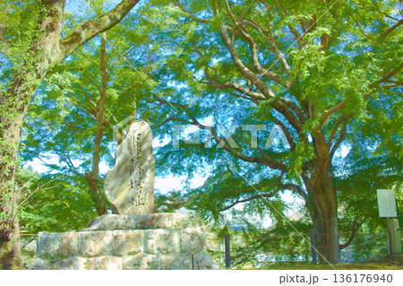 [愛知県]新城市の長篠城跡の石碑 136176940