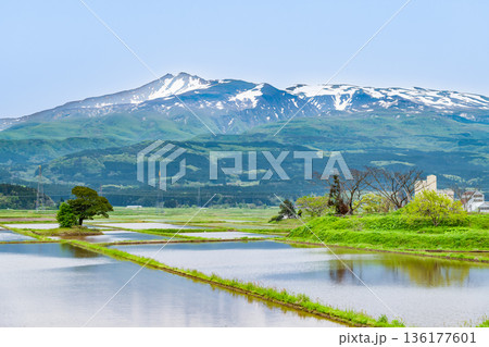 山形 残雪の鳥海山 136177601