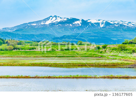 山形 残雪の鳥海山 山形 残雪の鳥海山 136177605